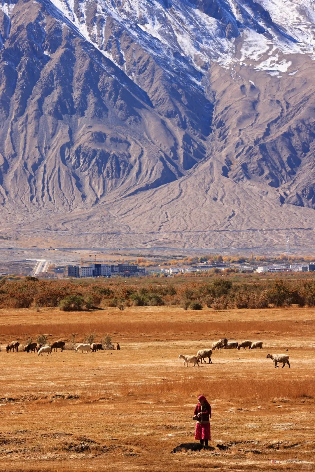 10月份的南疆绝了!很难没有戒断反应。。。