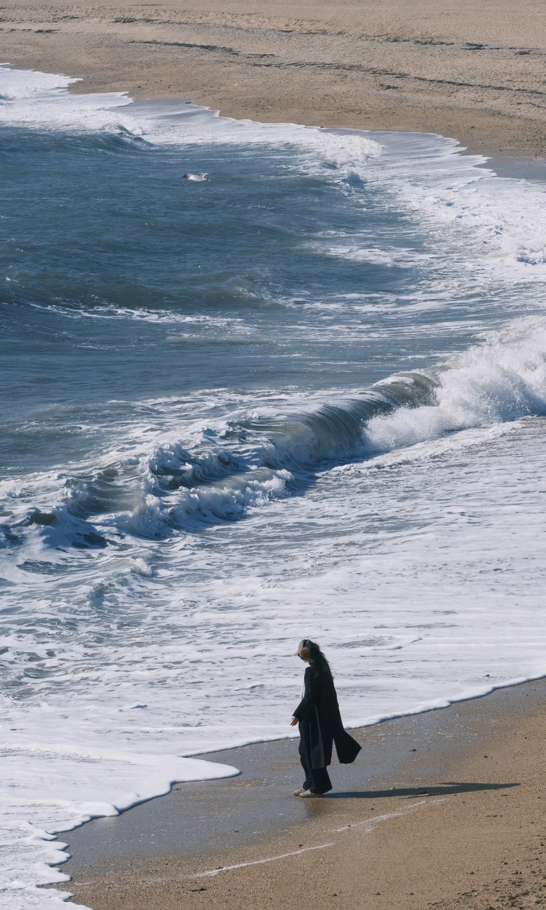 接下来的大连🌊