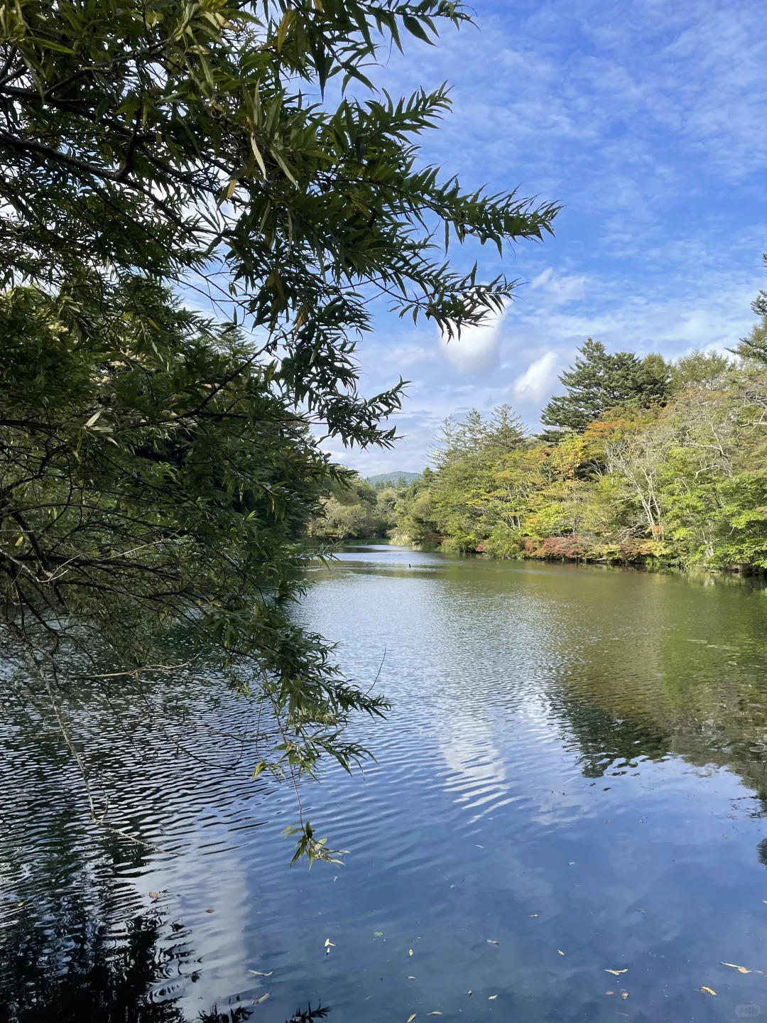 🇯🇵｜日本旅遊景點推薦