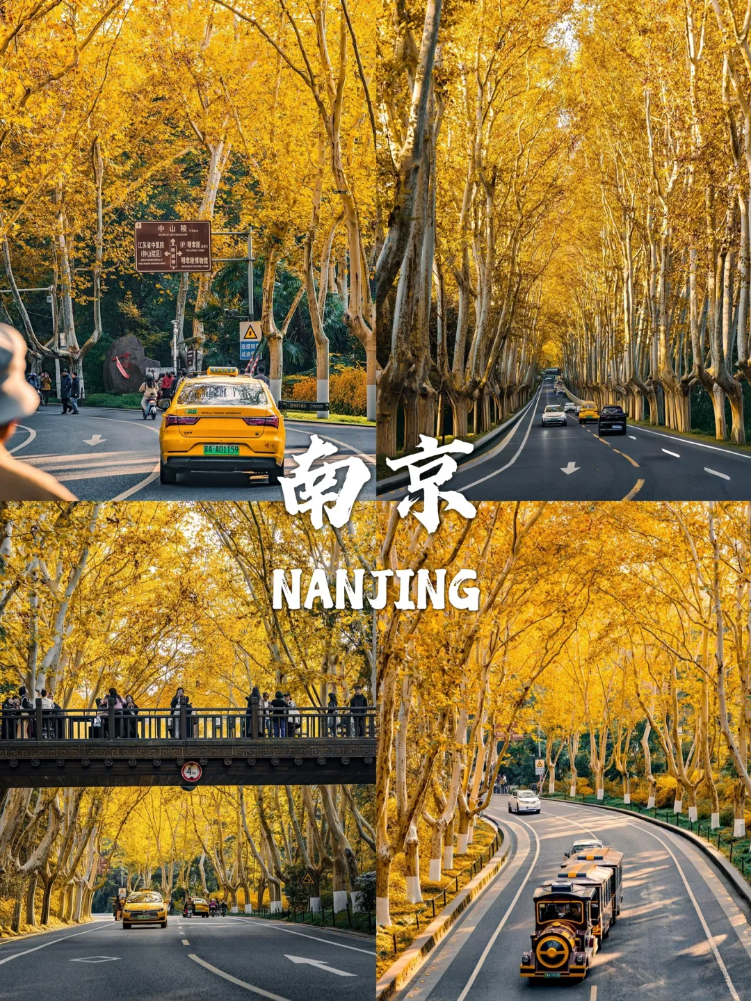 国内赏秋合集🍁这8个地方太值得推荐了