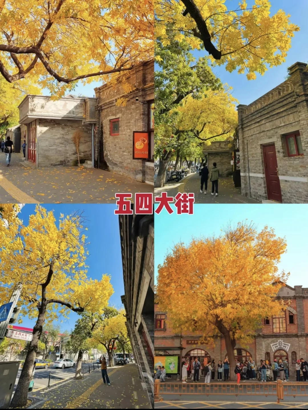 真的太美了，最美金秋！！！