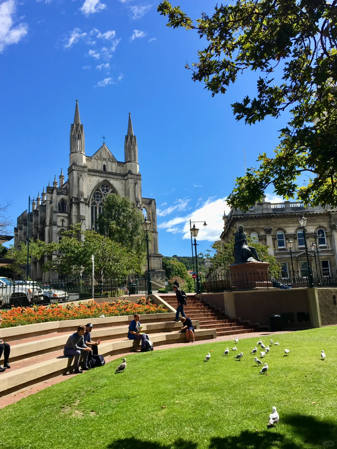 🇳🇿 新西兰达尼丁 Dunedin, New Zealand