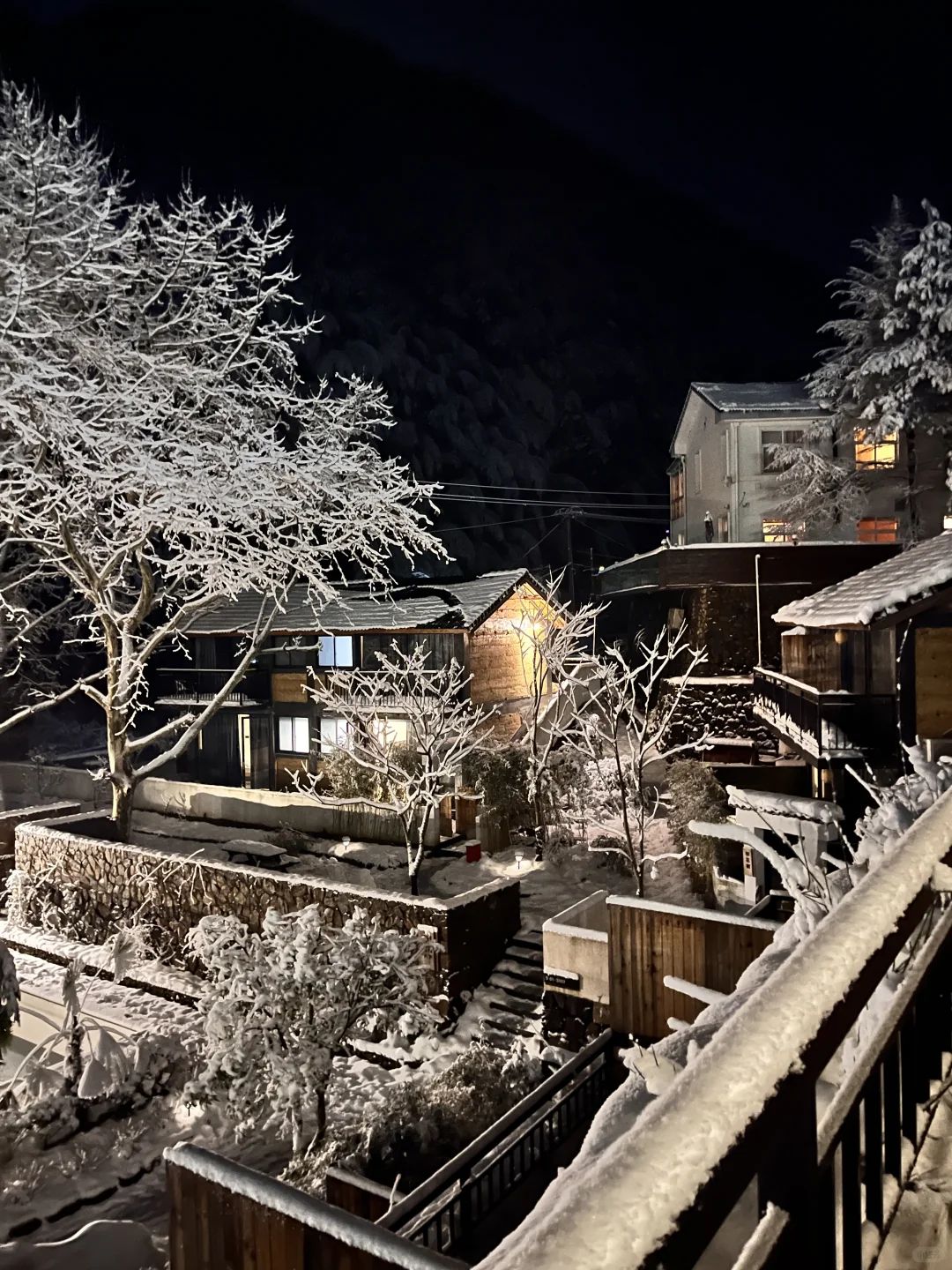 浙江安吉|江浙沪有自己的阿勒泰