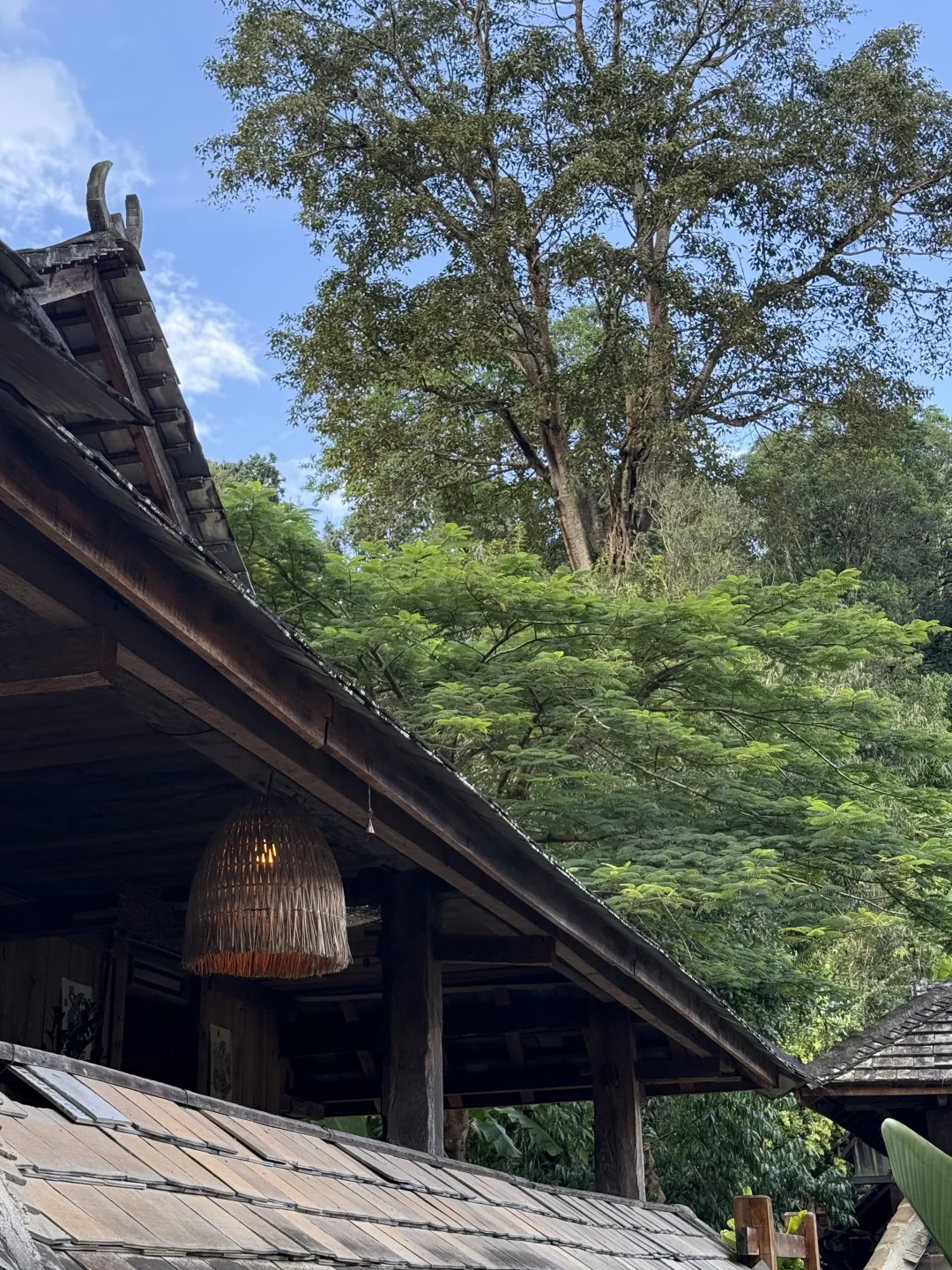 景迈山 ｜糯干古寨