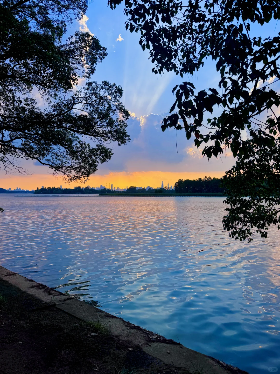 东湖最出片的还得是落雁，游玩攻略已整理