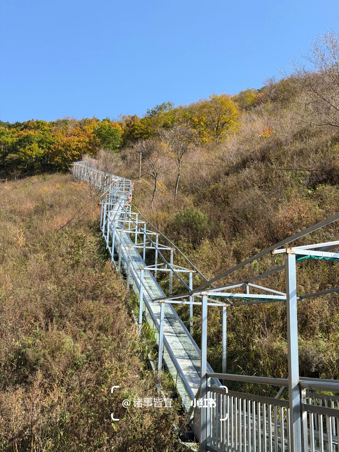独属北京十月的绝美风景📍百瑞谷保姆级攻略