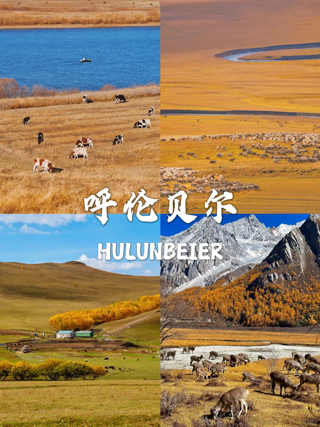 国内赏秋合集🍁这8个地方太值得推荐了