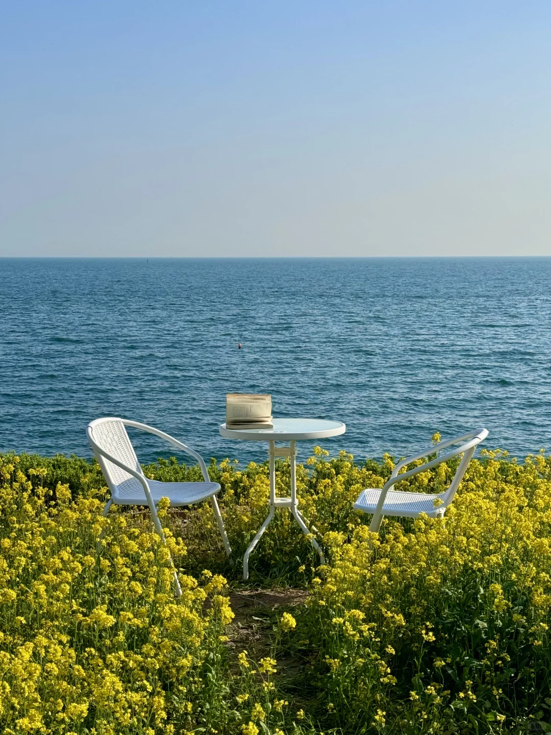 青岛真正好的地方都是免费的（合集）