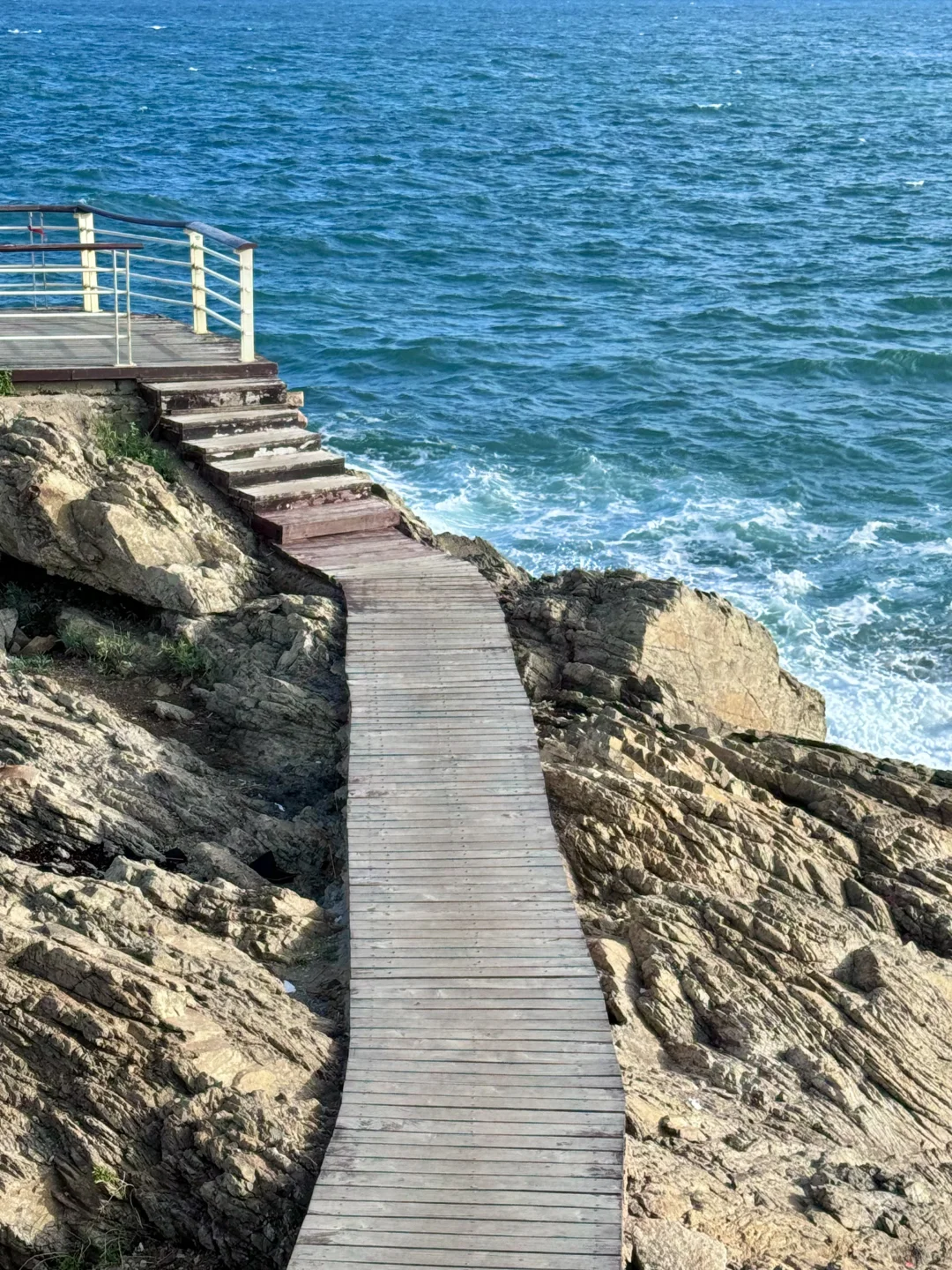 青岛真正好的地方都是免费的（合集）