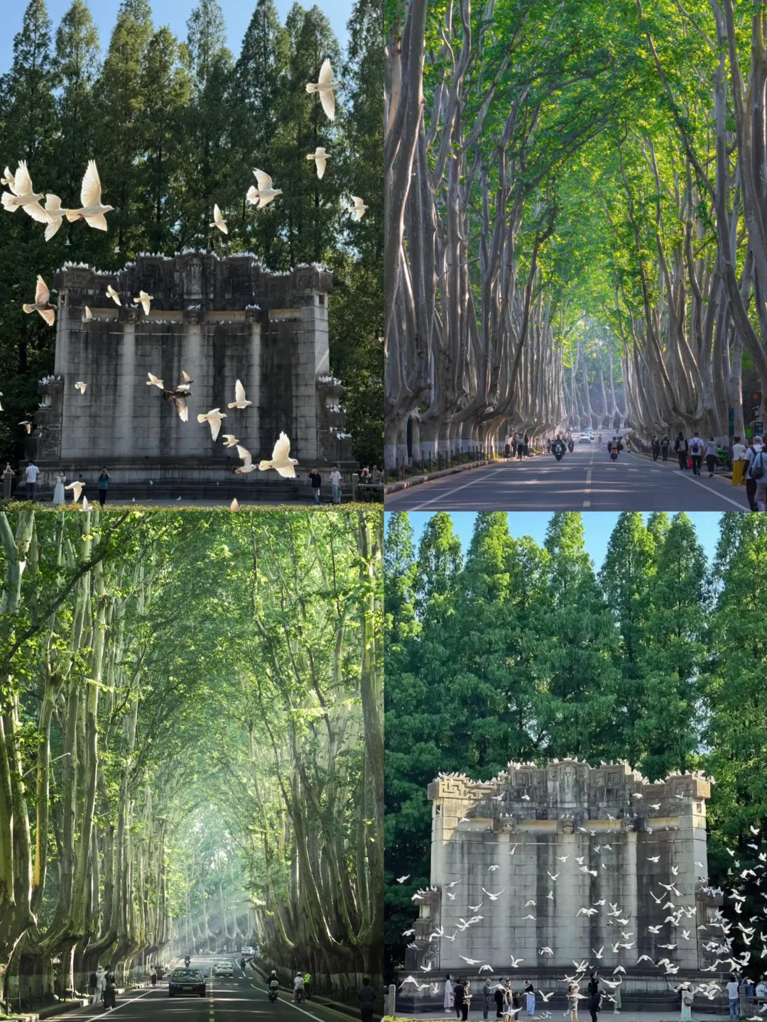 📍南京｜两天一夜行程指南❗️南京深度游