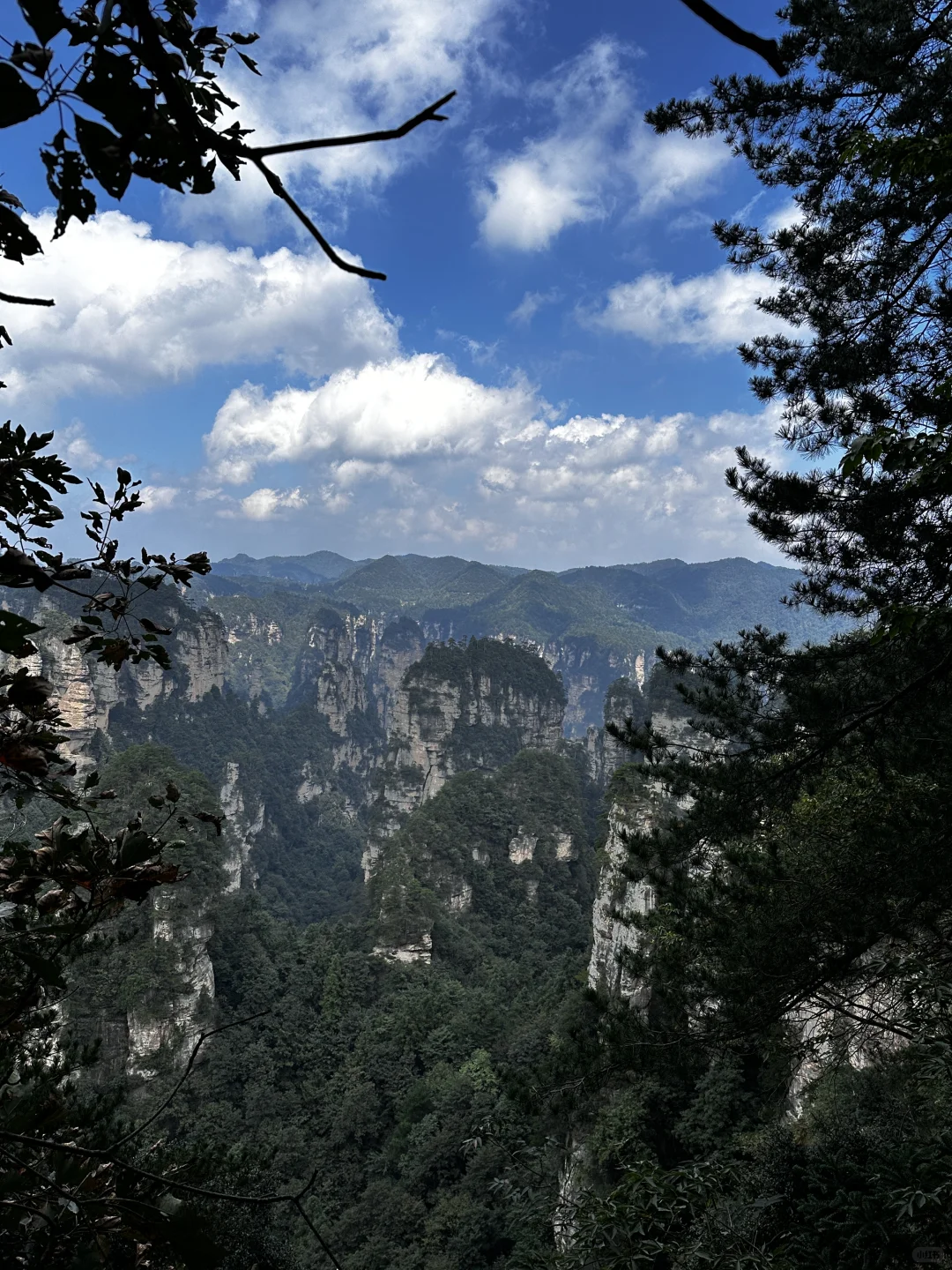 张家界攻略不求人篇！两天一夜