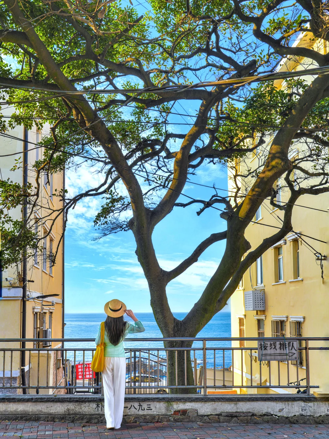 反向旅游‼️淡季的青岛才是人间理想❗️附路线