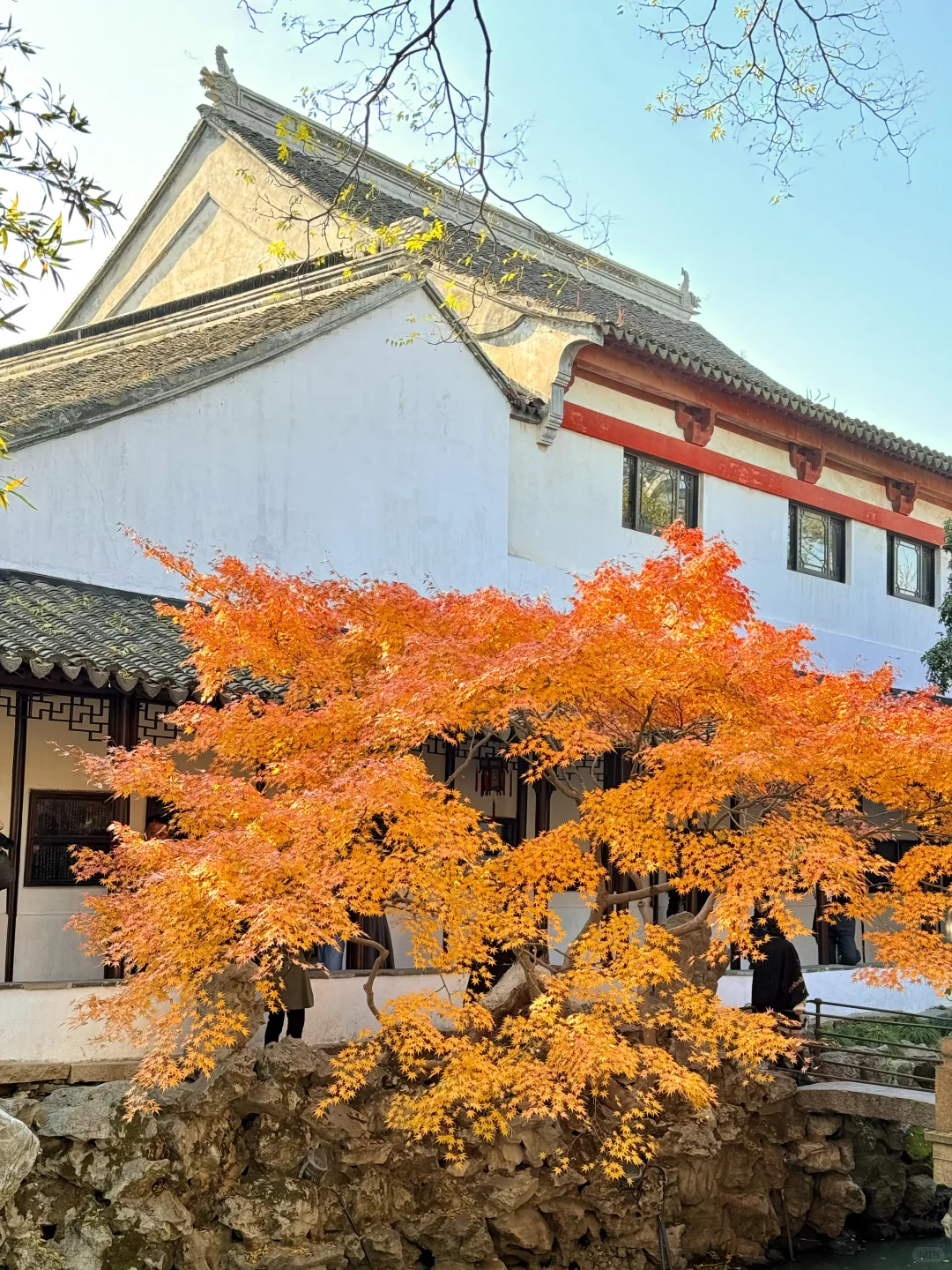 18张live图🍁告诉你苏州秋天有多美!!!!!!!