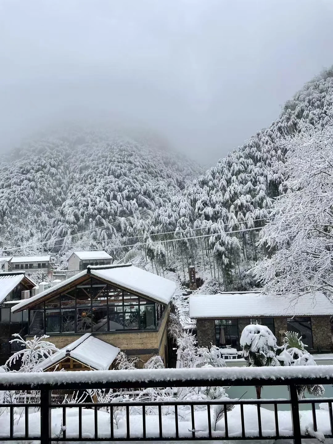 浙江安吉|江浙沪有自己的阿勒泰