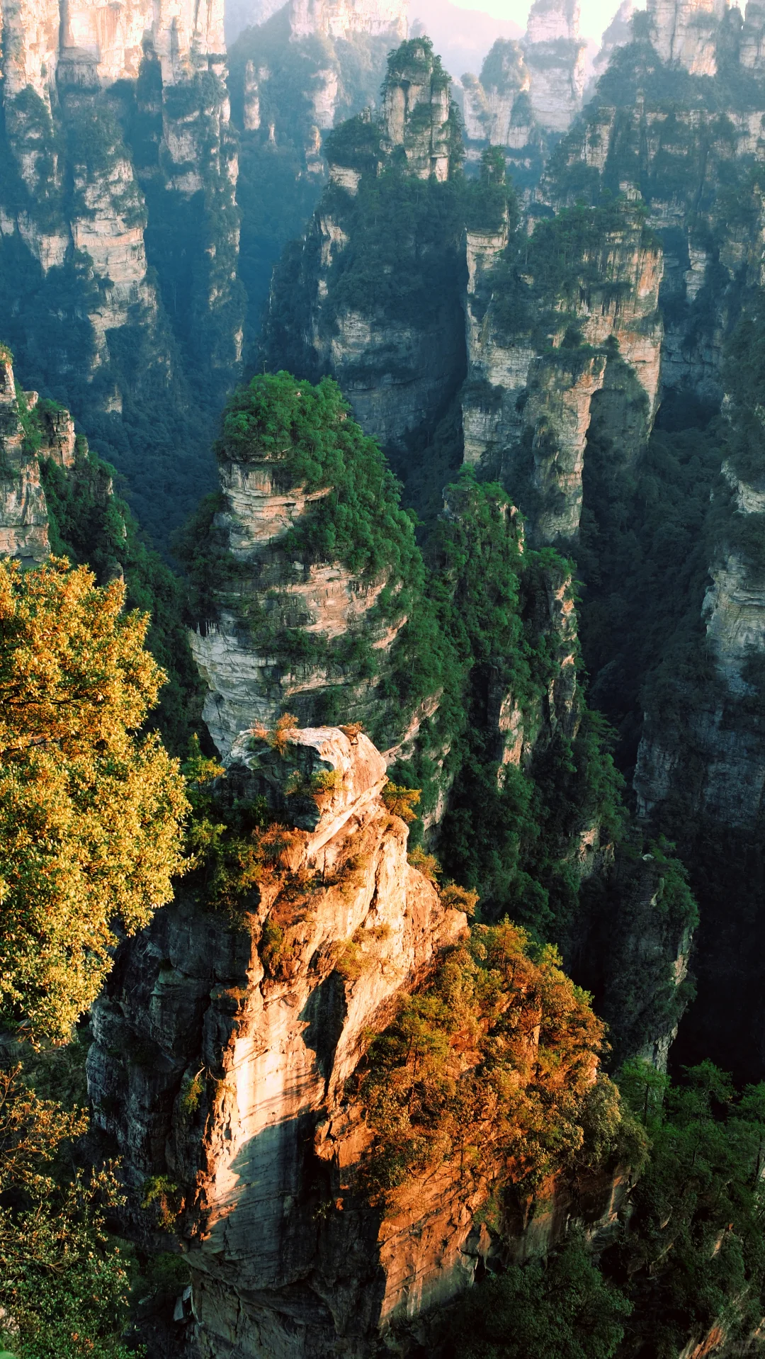 张家界攻略不求人篇！两天一夜