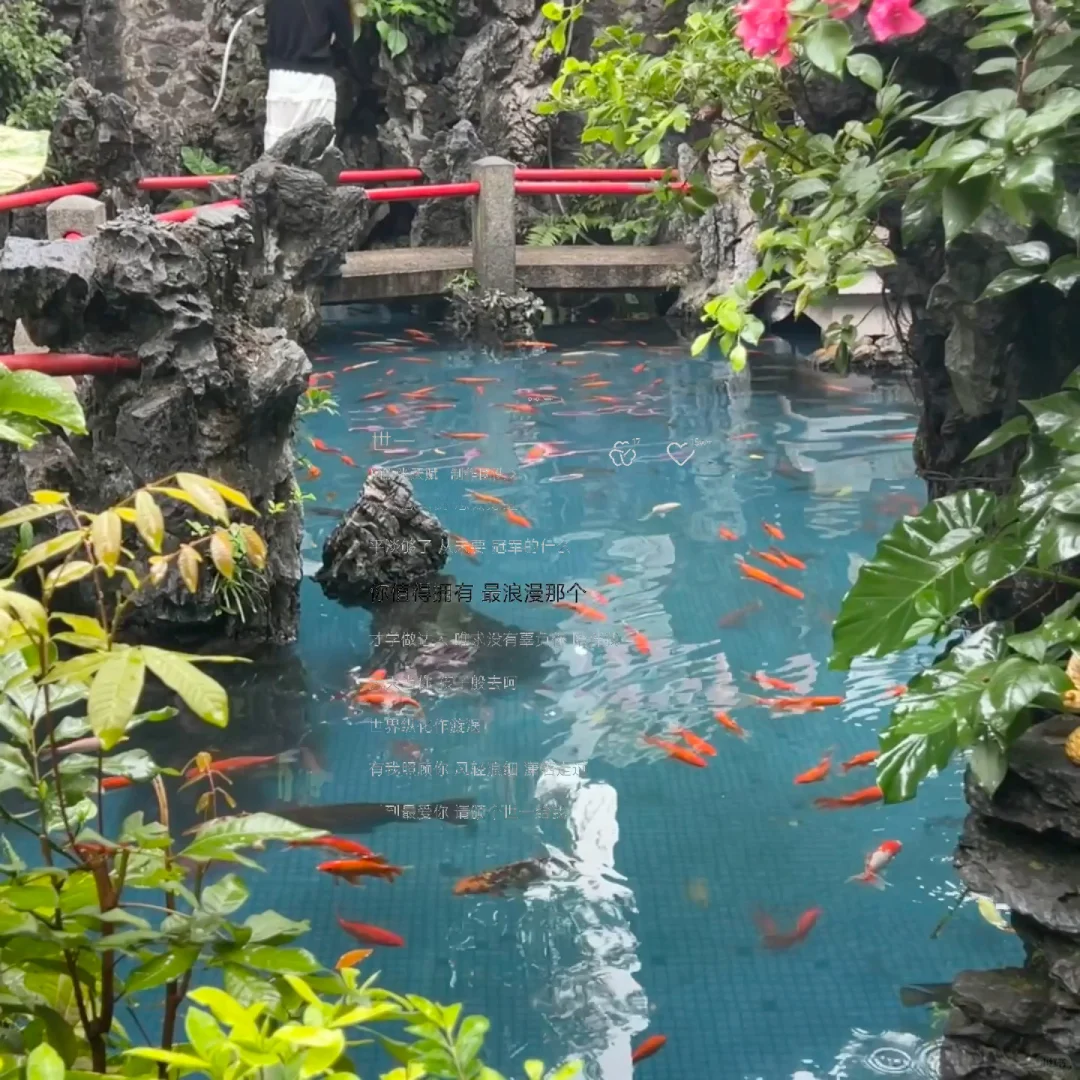 请接收你的旅游歌单🎵