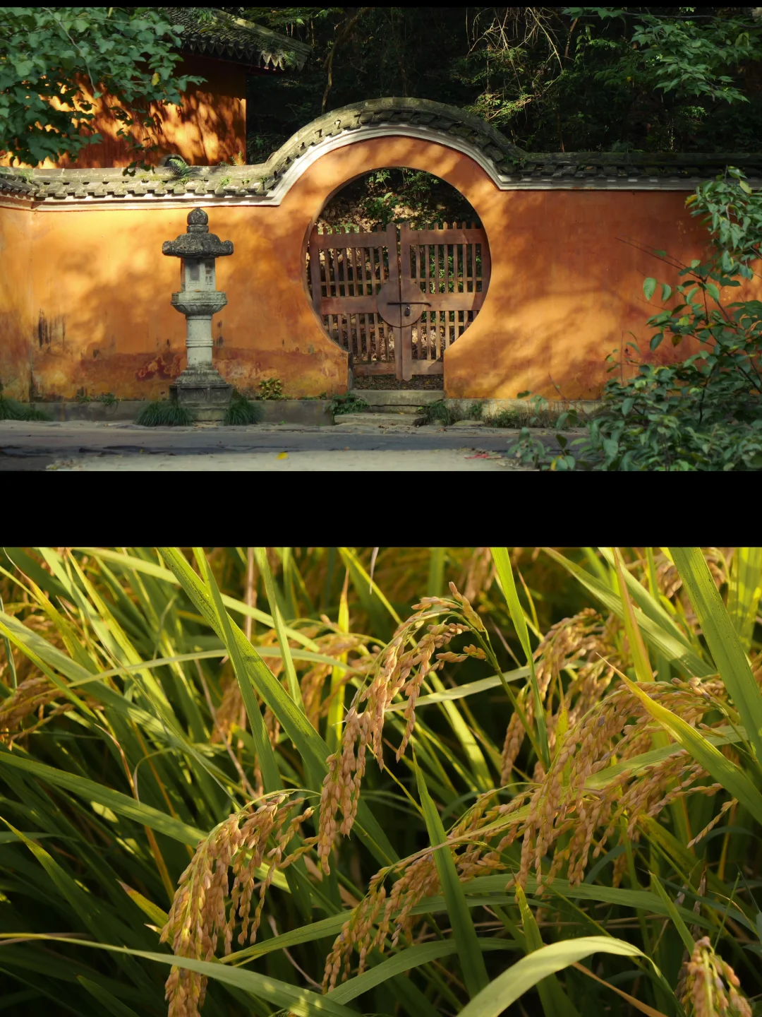 国清寺｜几度秋凉