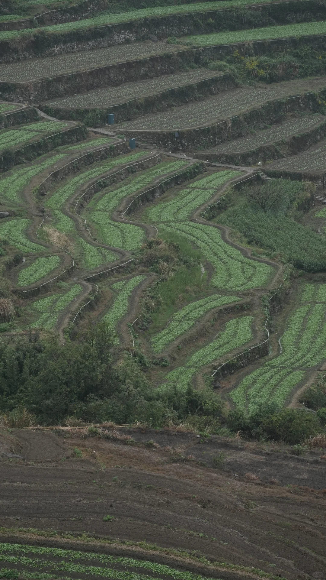 上海出发 江浙徒步 周末去哪里｜覆卮山⛰️