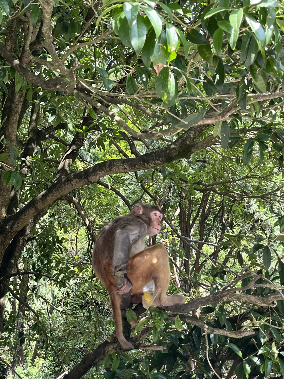 贵阳旅游真实感受（个人意见仅分享）