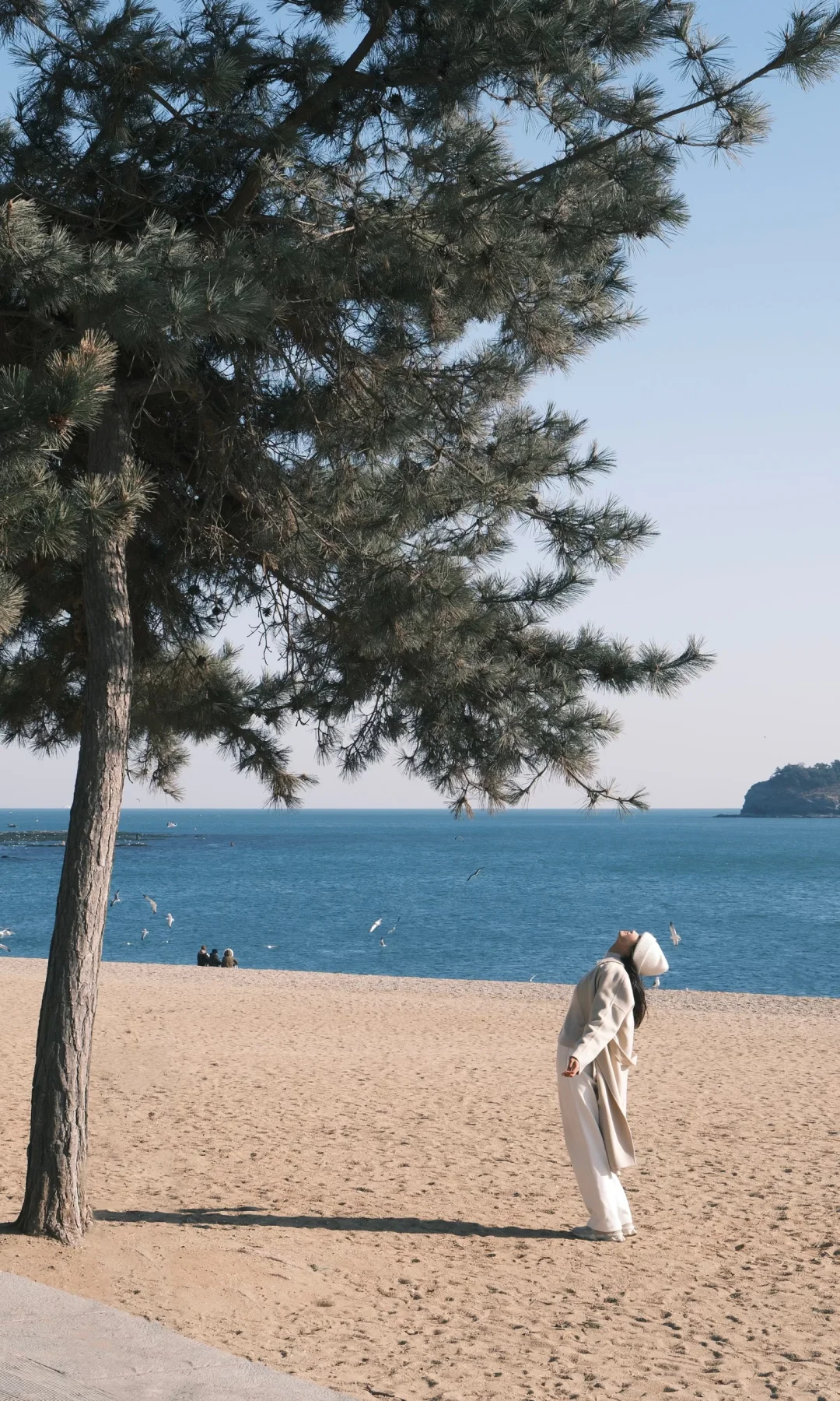 接下来的大连🌊