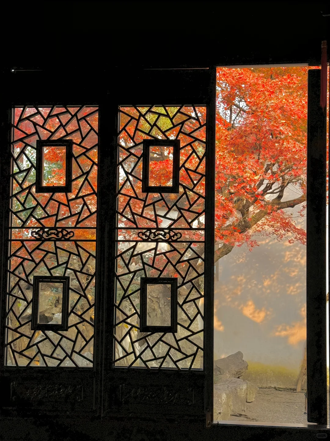 18张live图🍁告诉你苏州秋天有多美!!!!!!!