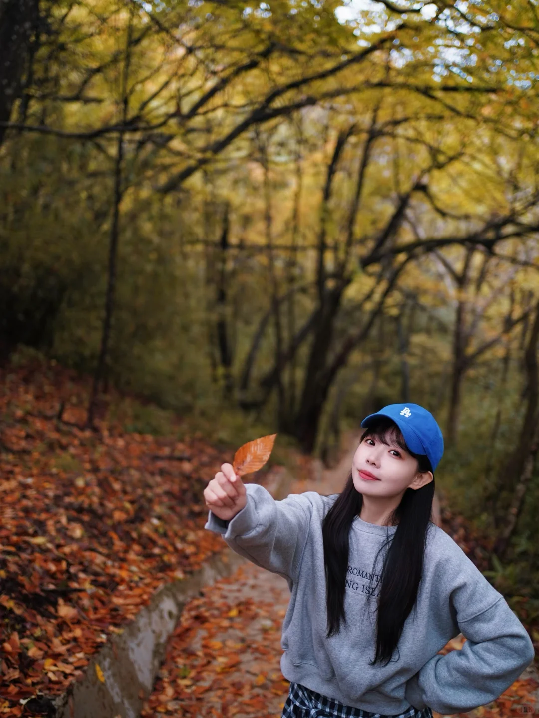 成都🚄一日往返油画彩林🍁徒步美哭了