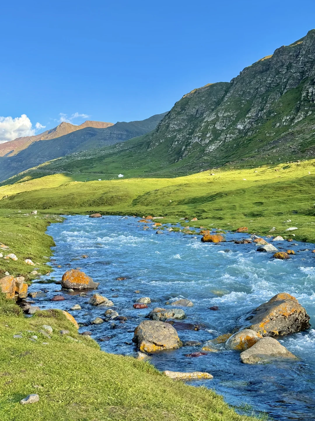 这辈子都舍不得删的live图…