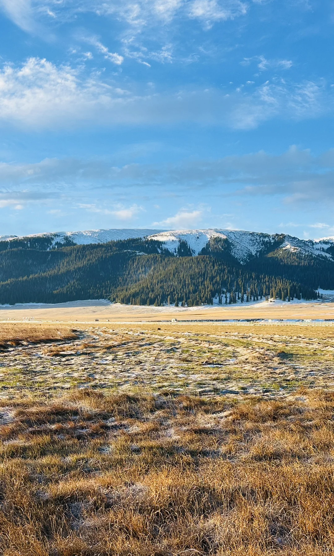 赛里木湖收到了初雪的情书