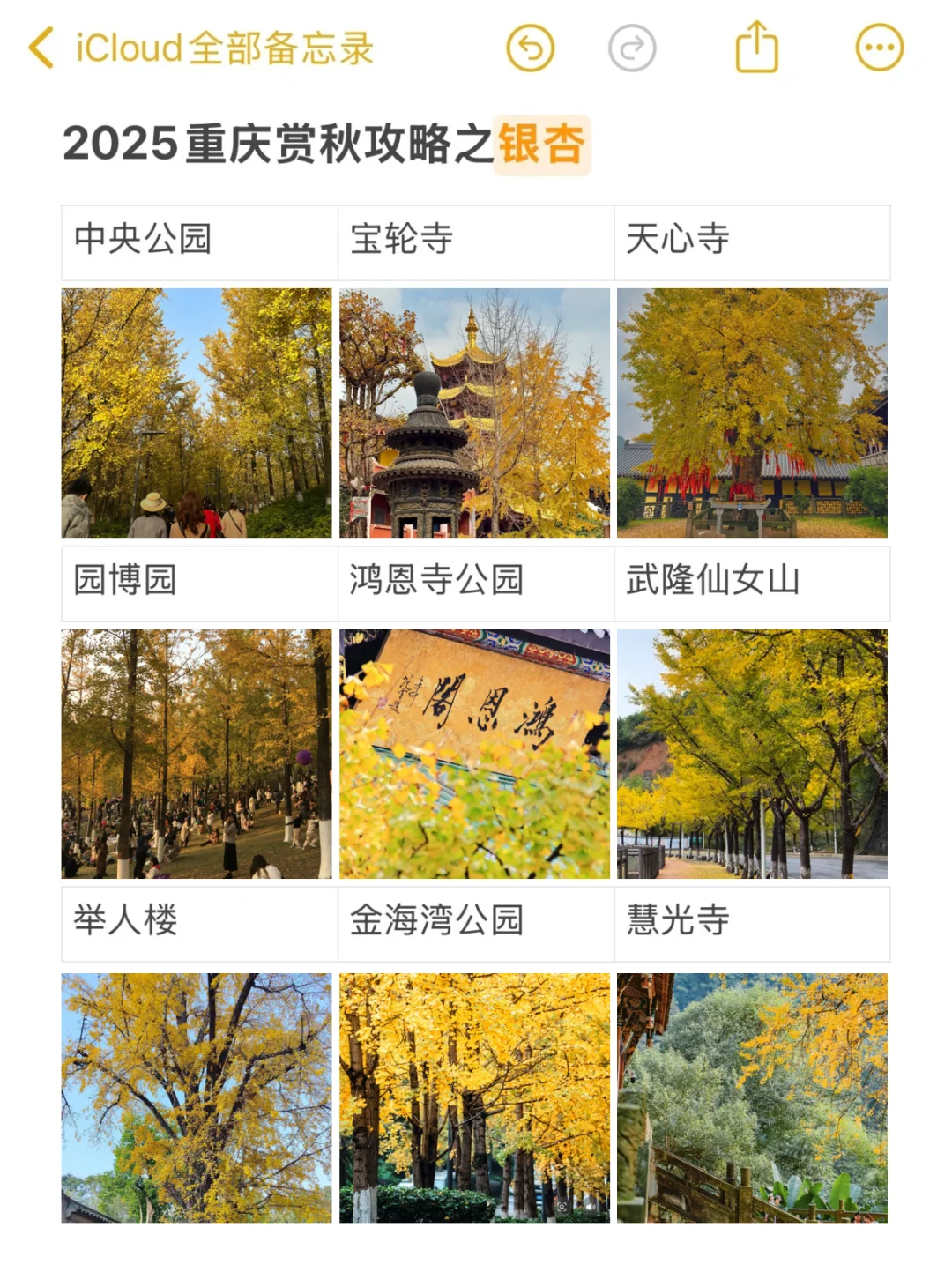 2025重庆赏秋时刻表📅