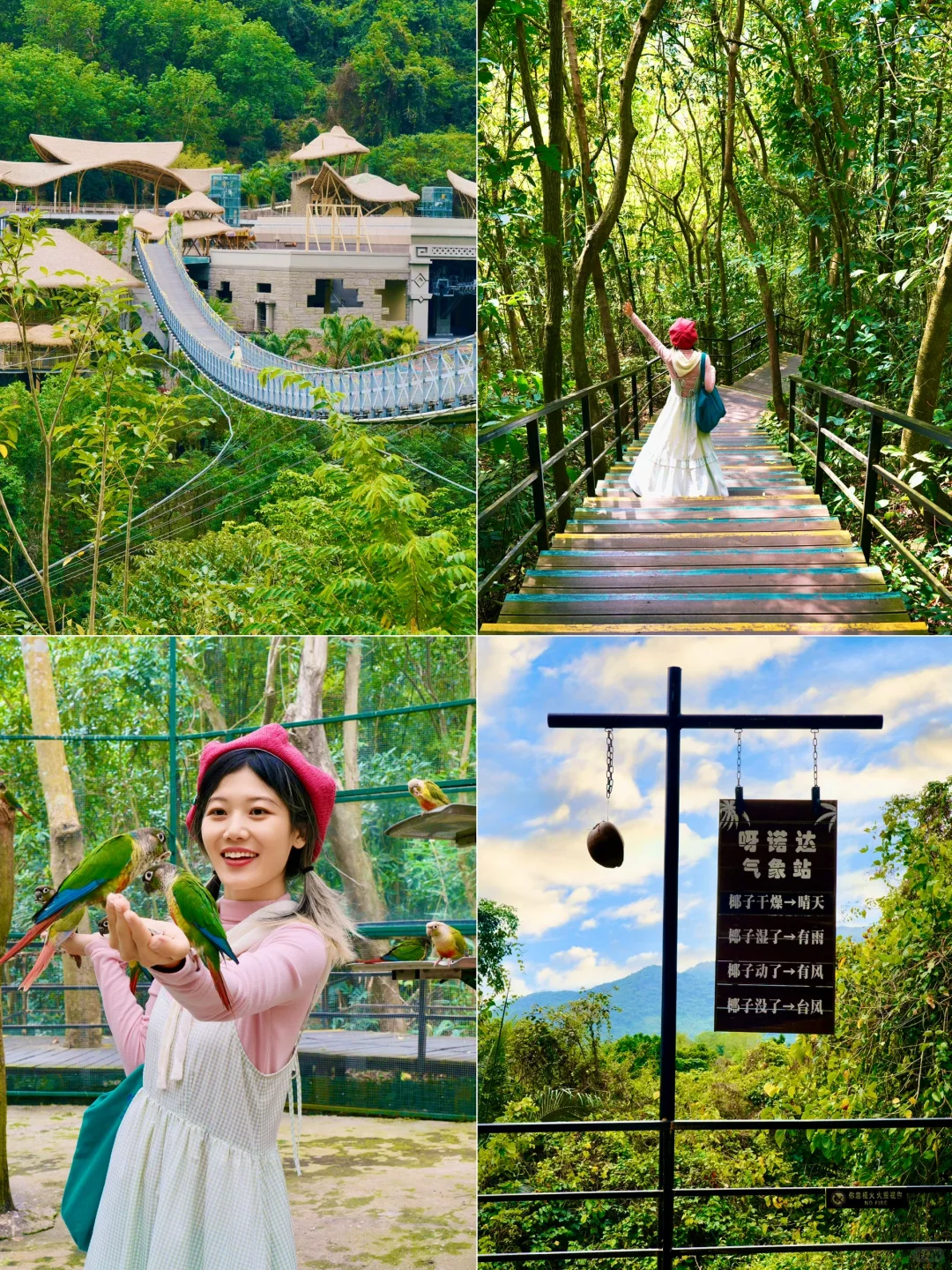 为了这1️⃣8️⃣张图我特地飞了趟三亚｜附机位