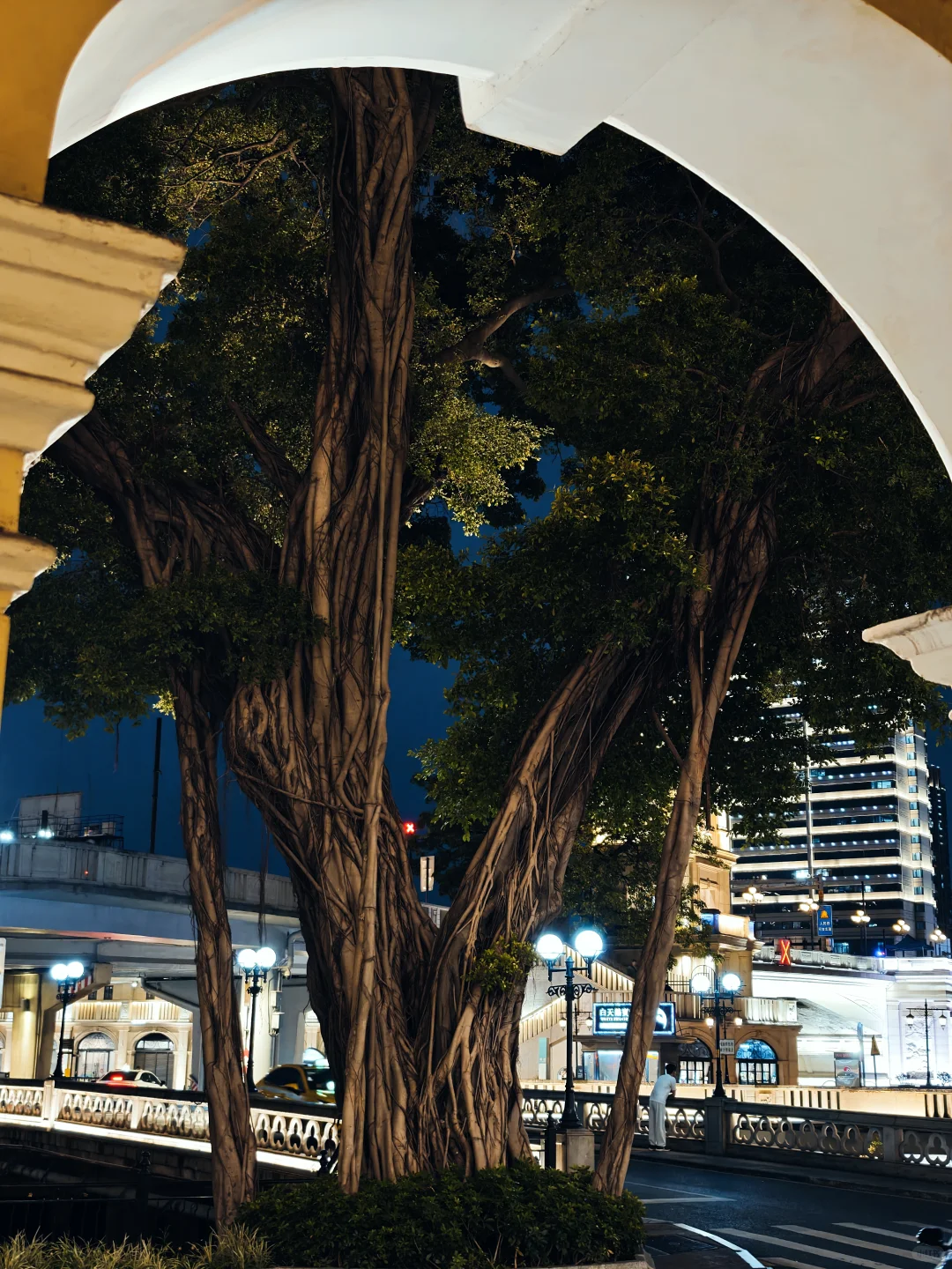 沙面岛夜景也这么美📸