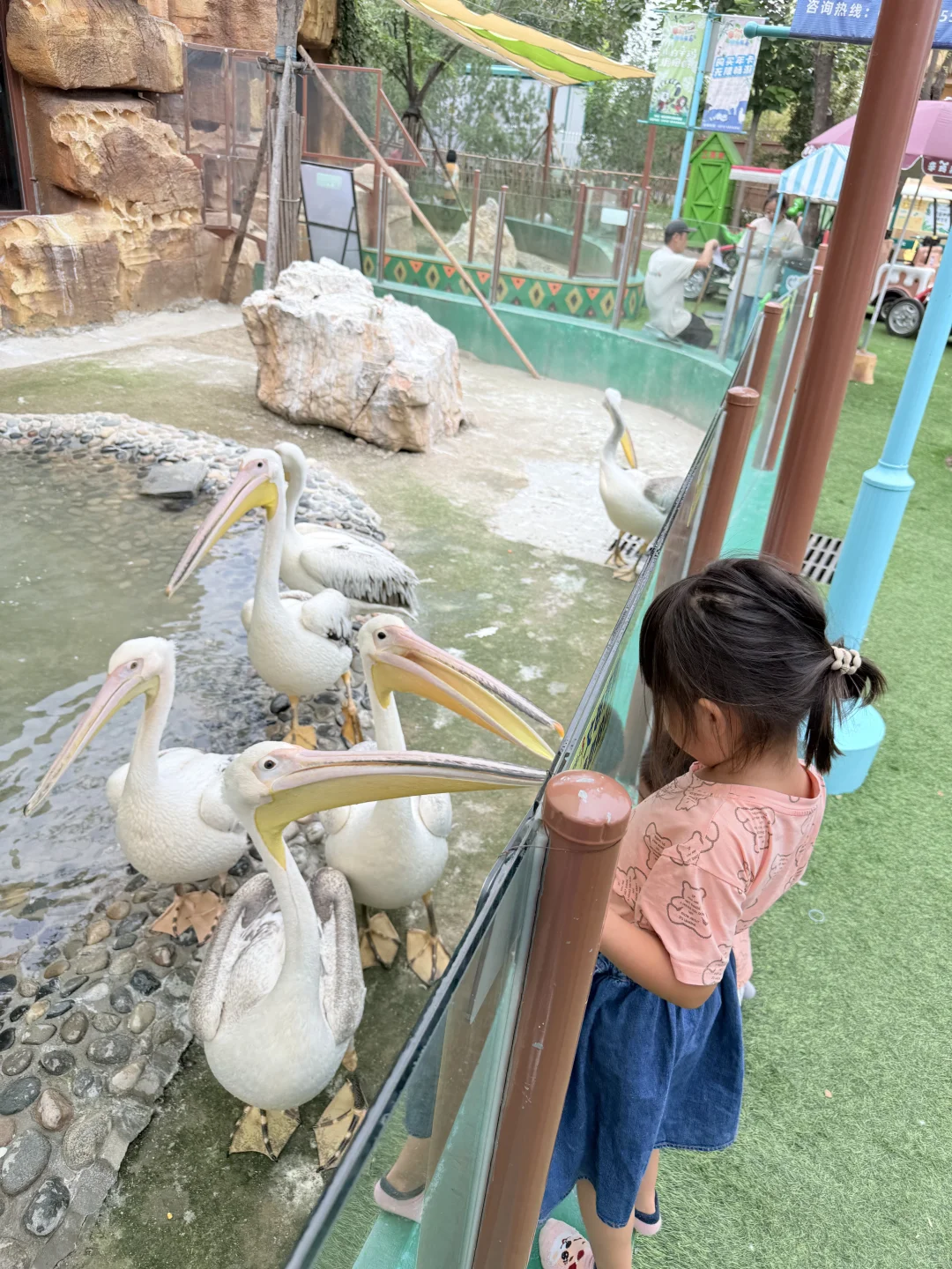 十一躺平亲子旅游🚩——雄安3天2夜