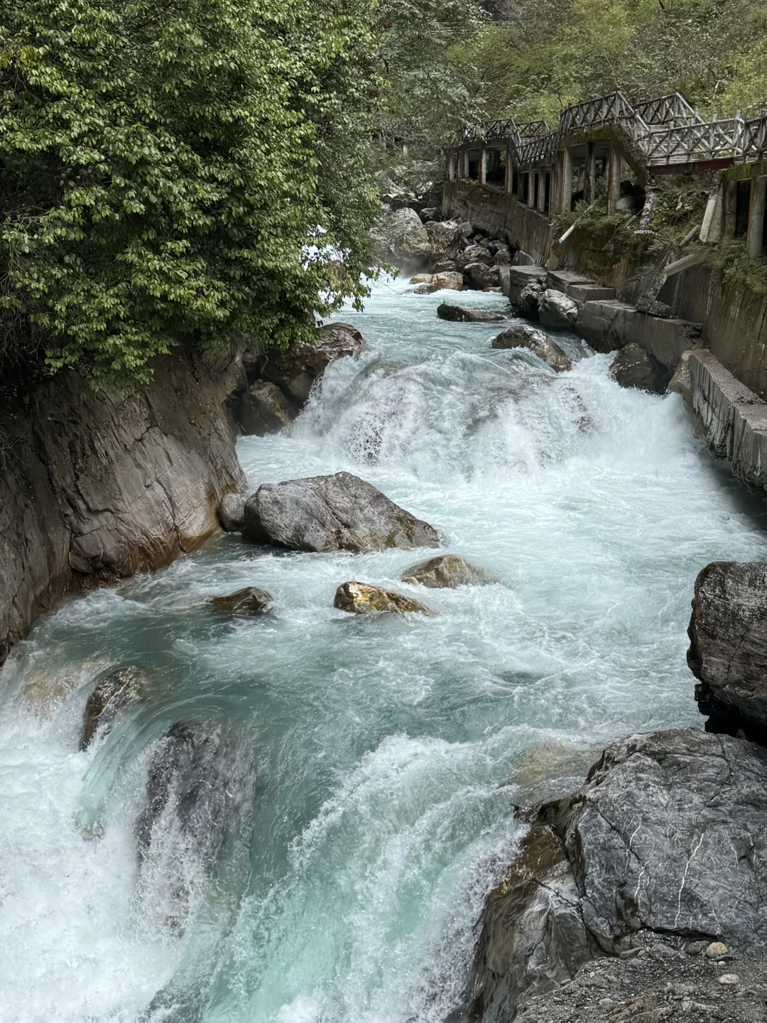 带狗狗去喇叭河的注意了⚠️看完这篇不踩雷
