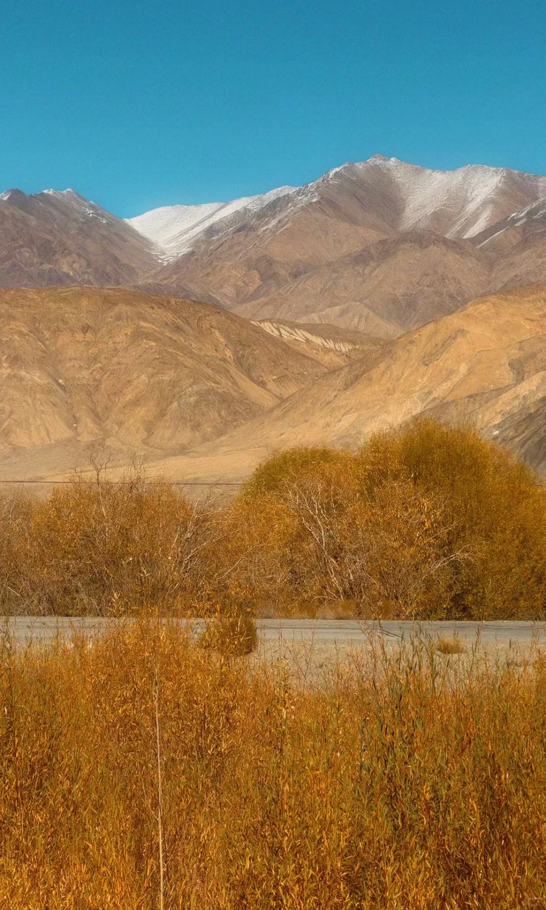 全屏live | 南疆秋天最好的地方都是免费的