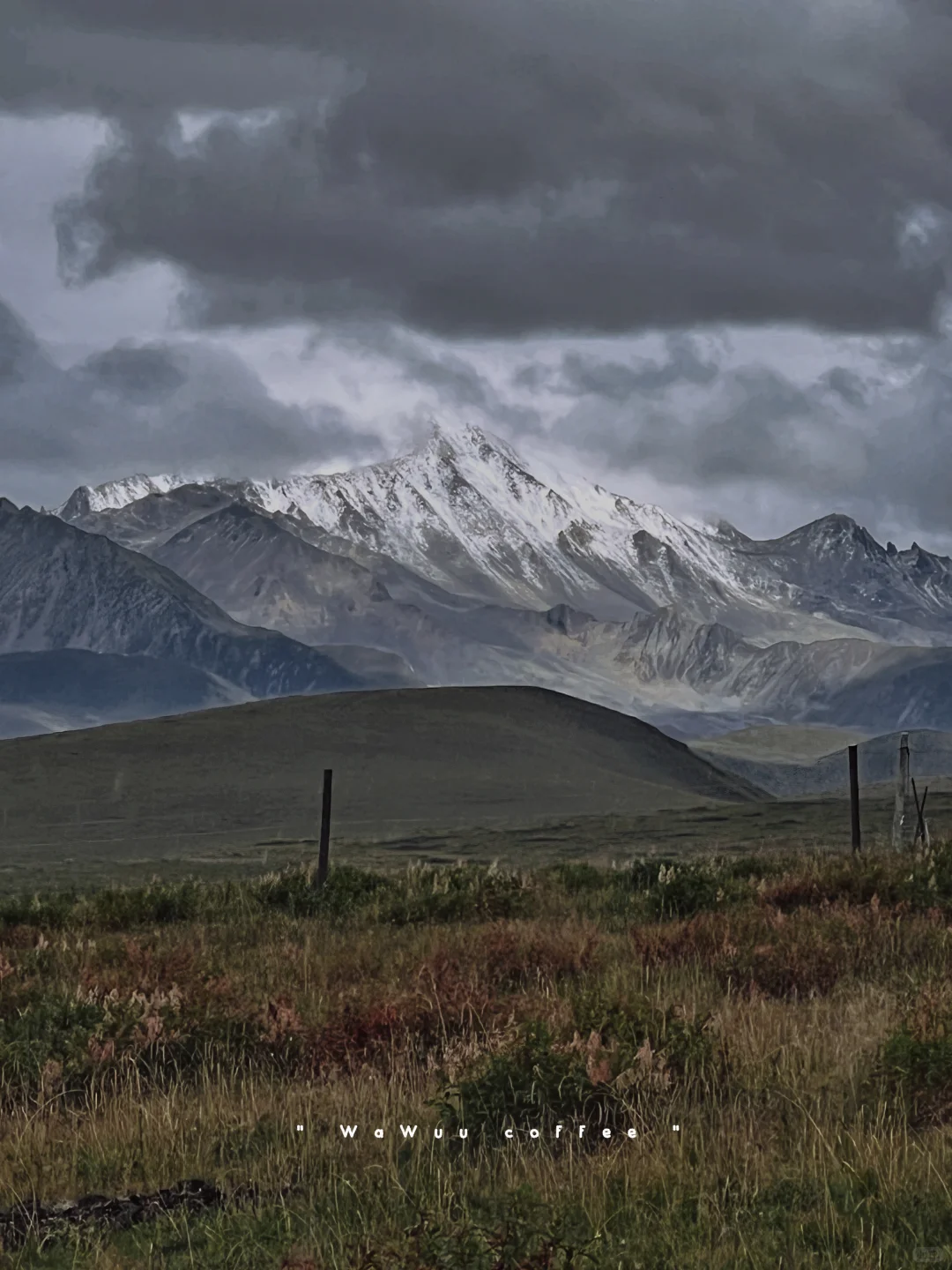 川西｜🏔️治好了我的精神内耗，3天足矣…