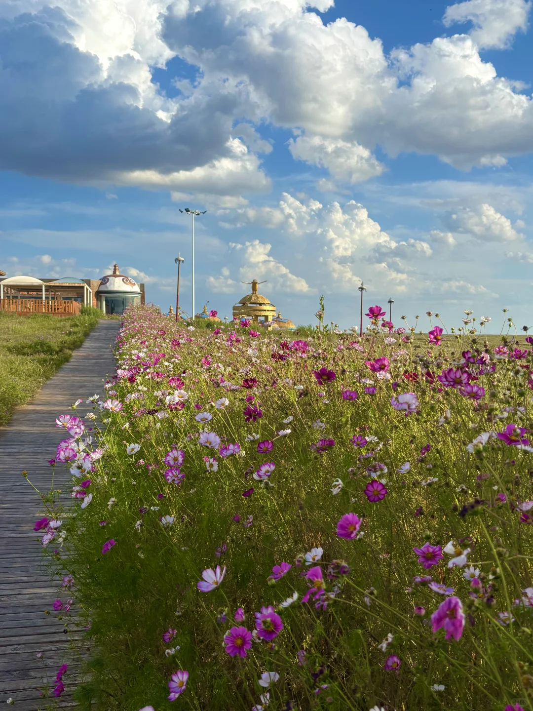鄂尔多斯旅游攻略