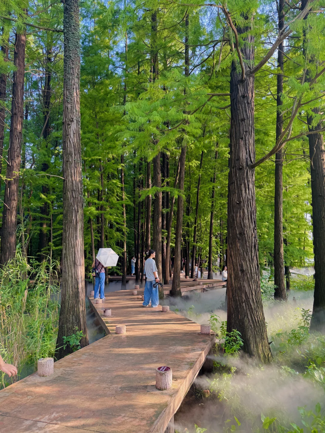 东湖最出片的还得是落雁，游玩攻略已整理