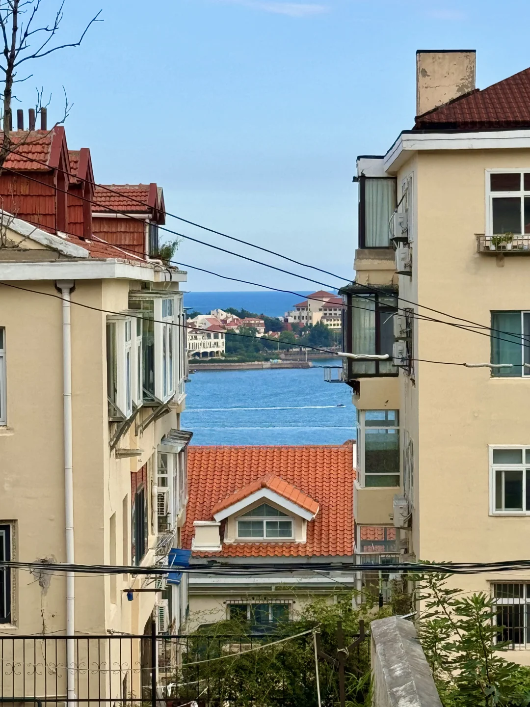 青岛真正好的地方都是免费的（合集）