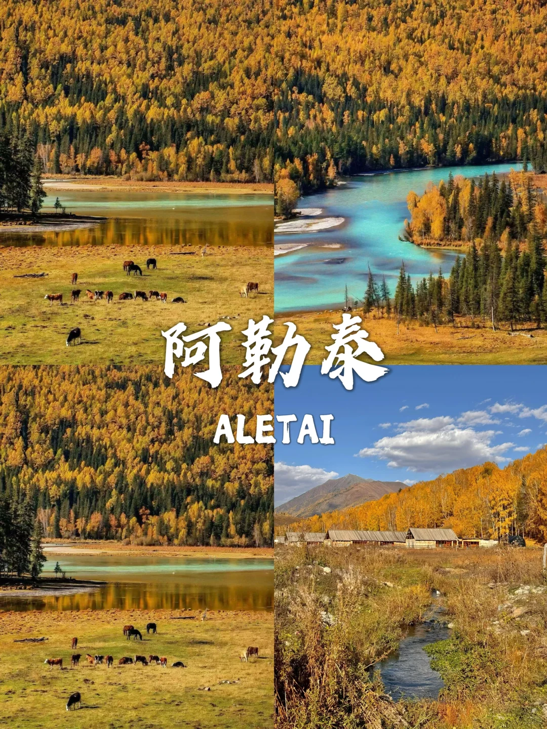 国内赏秋合集🍁这8个地方太值得推荐了