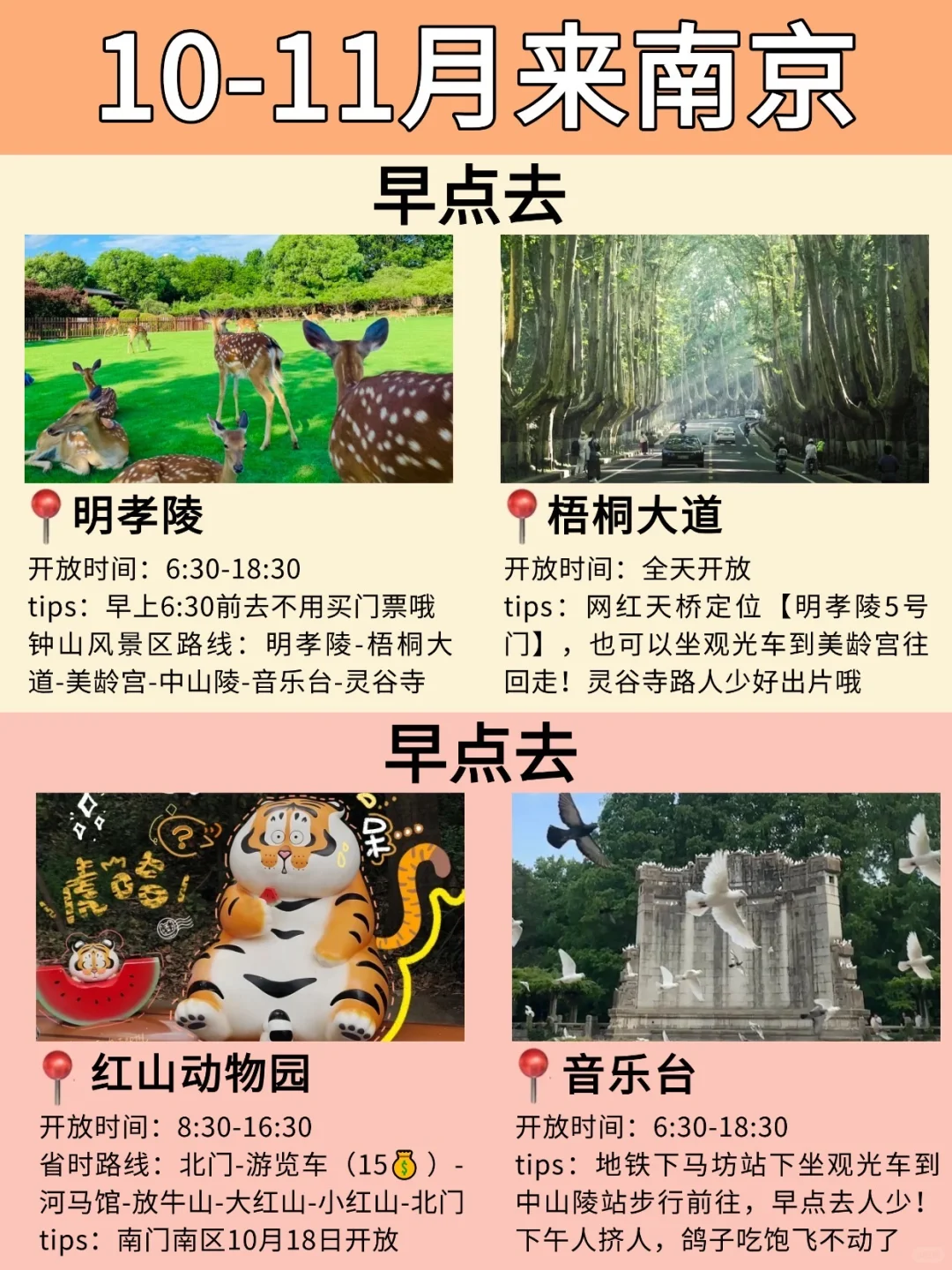 南京本地人‼️写给10-11月想来南京的姐妹