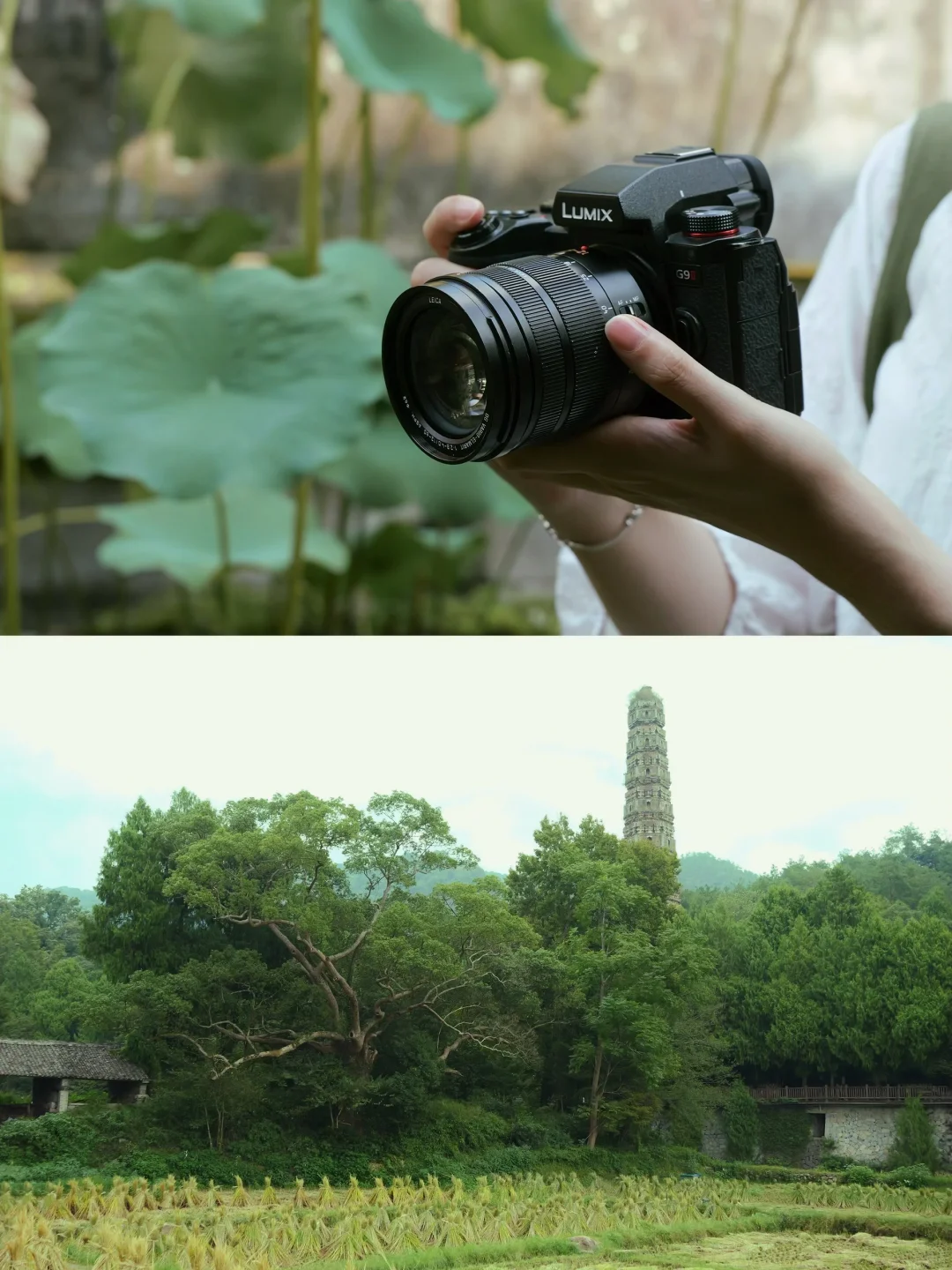 国清寺｜几度秋凉