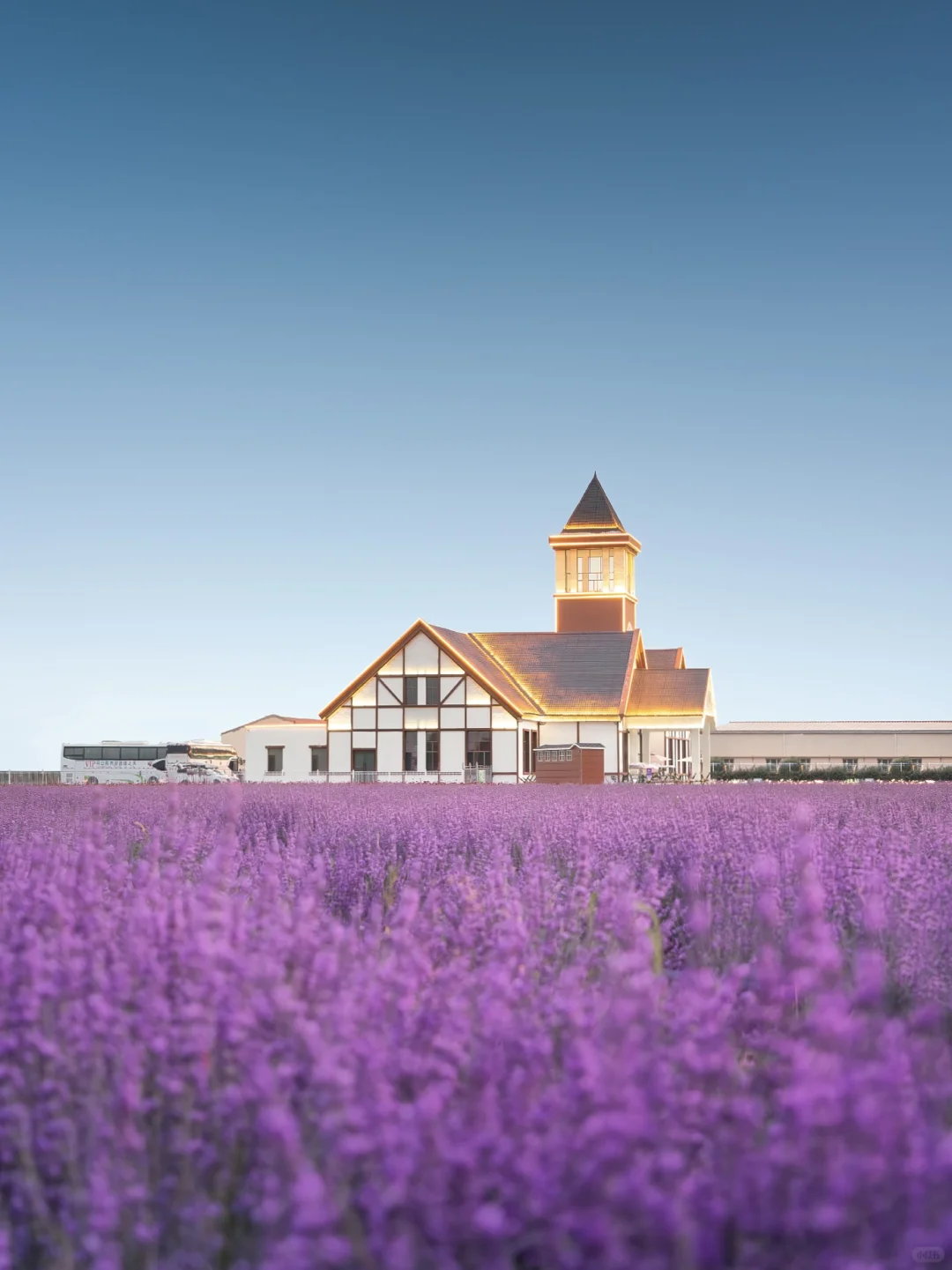 7-8月不去伊犁!就错过了最美的新疆!