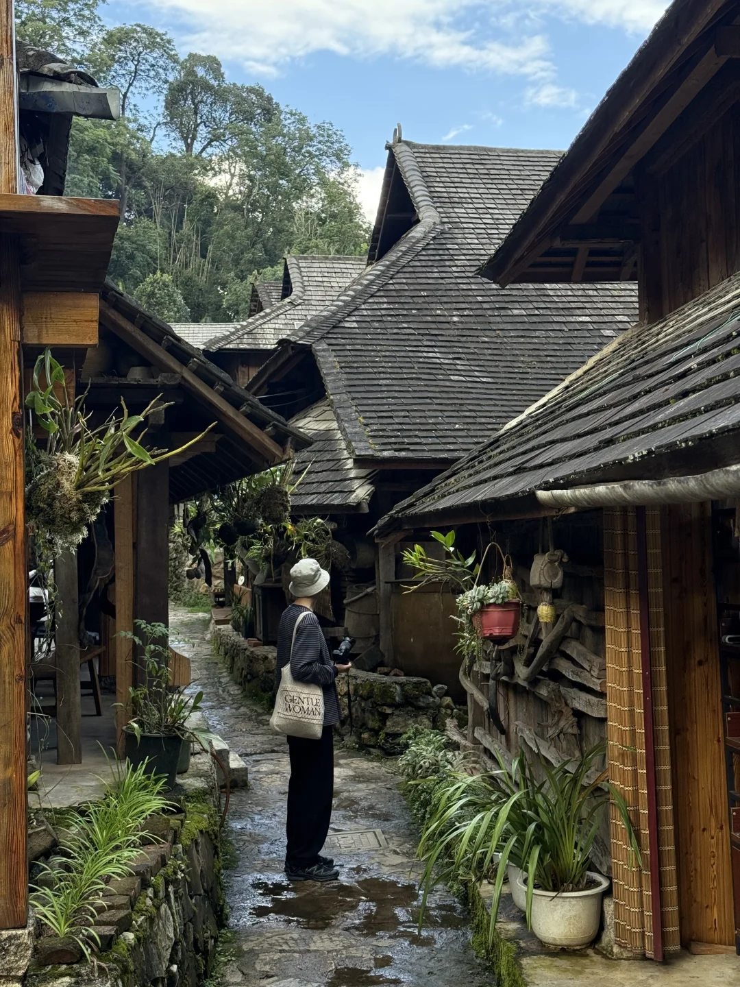 景迈山 ｜糯干古寨