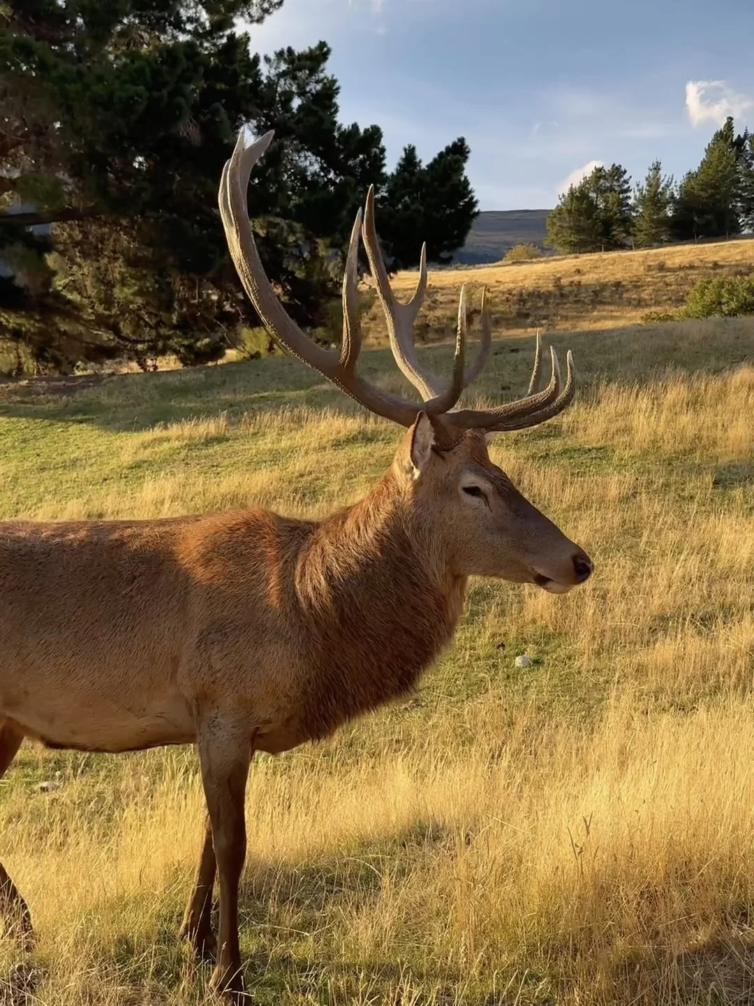 旅行结算｜我的年度live图