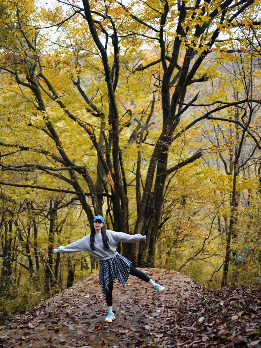 成都🚄一日往返油画彩林🍁徒步美哭了