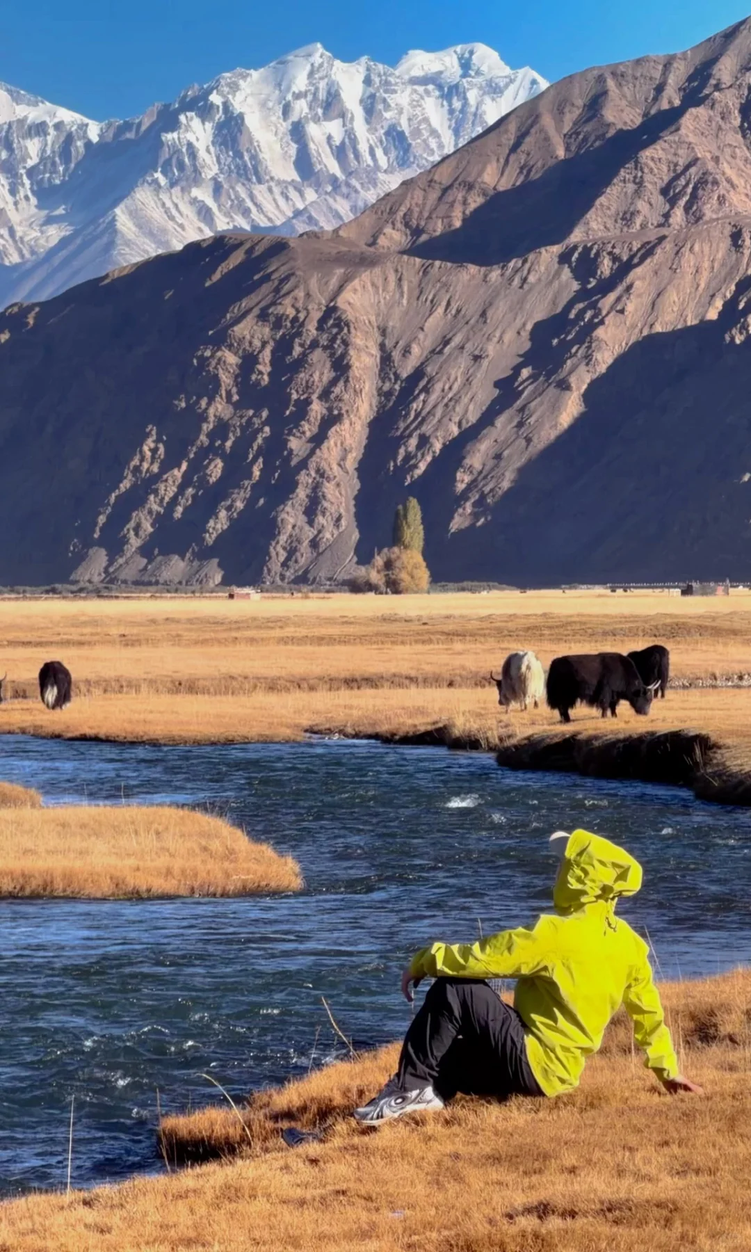 全屏live | 南疆秋天最好的地方都是免费的