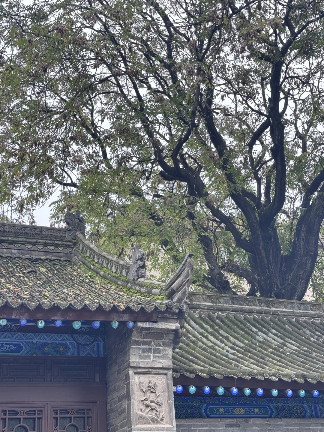 拍婚纱照都去八仙庵了？