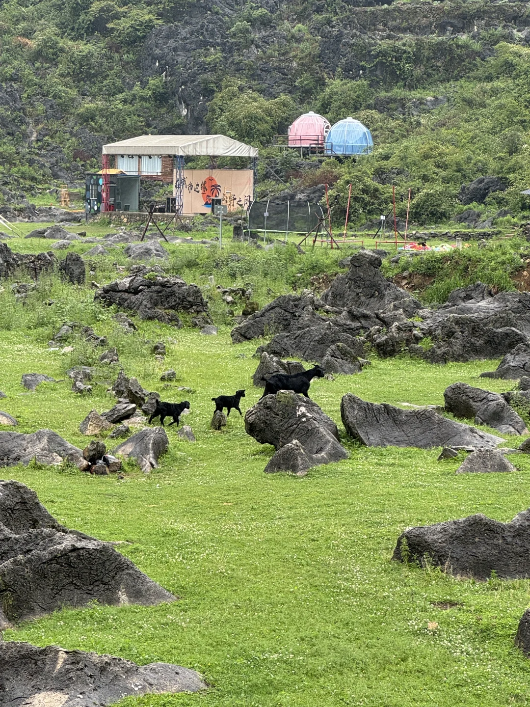 安顺不止黄果树！！这些景点才是贵州特色啊