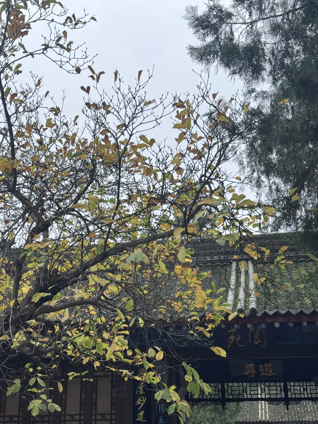 拍婚纱照都去八仙庵了？