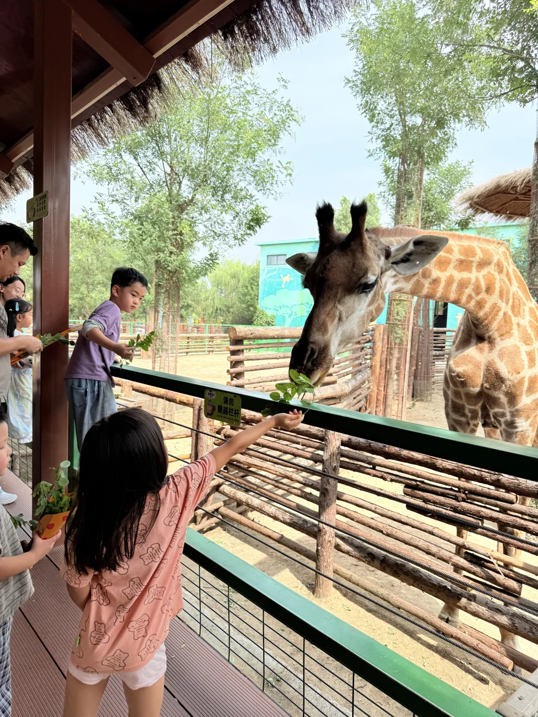 十一躺平亲子旅游🚩——雄安3天2夜